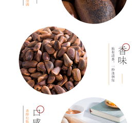 新昊森林松籽 黑龍江特產的天然饋贈