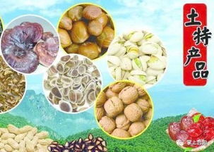 2018年陜西供銷·合陽(yáng)年貨大展銷 品味農(nóng)副土特，喜迎新春佳節(jié)