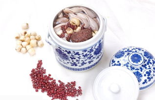 笨牌蓮籽500g 品味農副土特產品中的自然饋贈