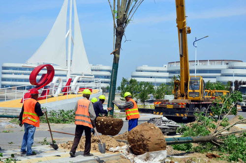 濱海區(qū)加速項目建設(shè)，全力打造精品工程